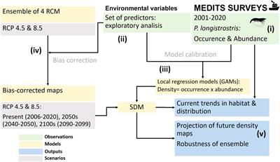 Warming promotes expansion of a key demersal fishing resource of the western Mediterranean